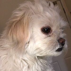 Meet your Posher, Nelly